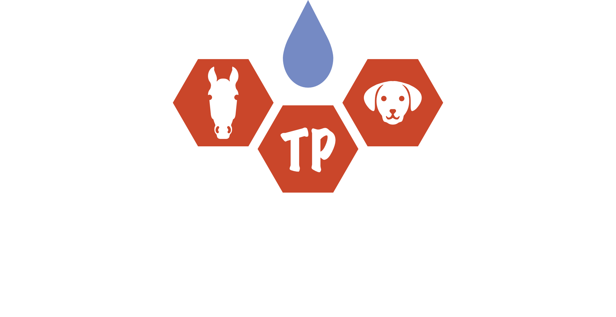 Die Wundexpertin – Mobiles Wundmanagement fürs Tier